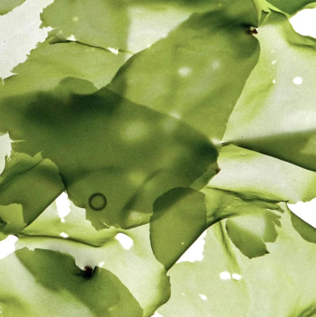 Clarifying Mask with Clay & Sea Algae - 90 ml