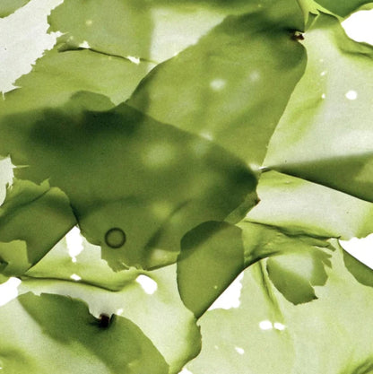 Clarifying Mask with Clay & Sea Algae - 90 ml